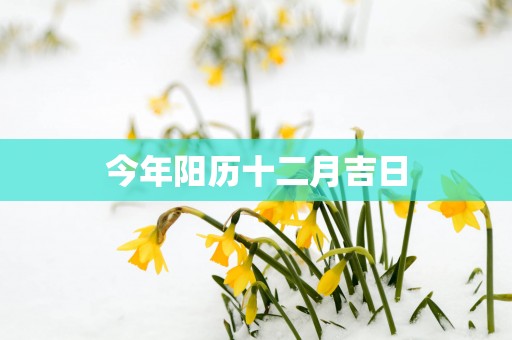 今年阳历十二月吉日