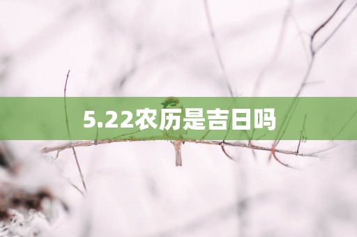 5.22农历是吉日吗