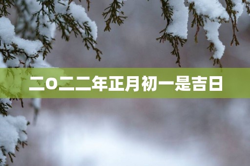 二O二二年正月初一是吉日