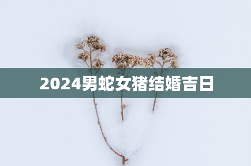 2025男蛇女猪结婚吉日