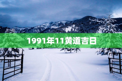 1991年11黄道吉日
