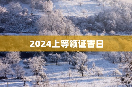 2025上等领证吉日