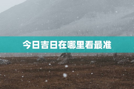 今日吉日在哪里看最准