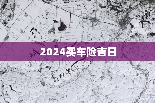 2025买车险吉日