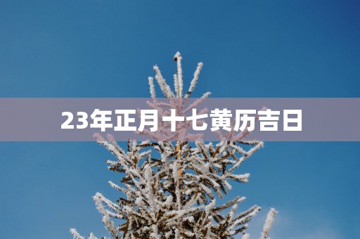 23年正月十七黄历吉日