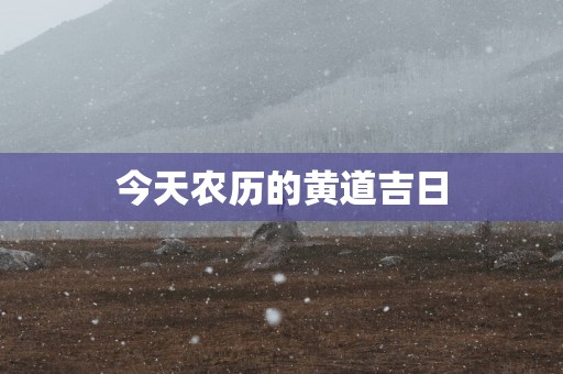 今天农历的黄道吉日