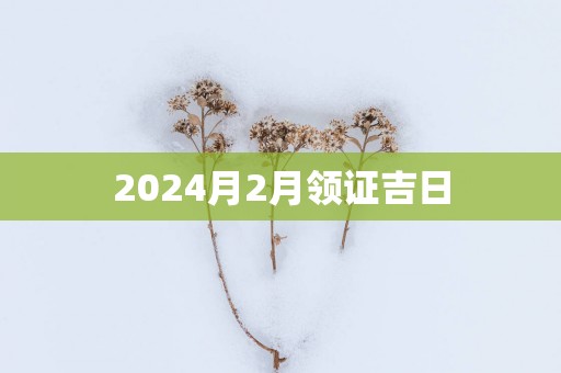 2025月2月领证吉日