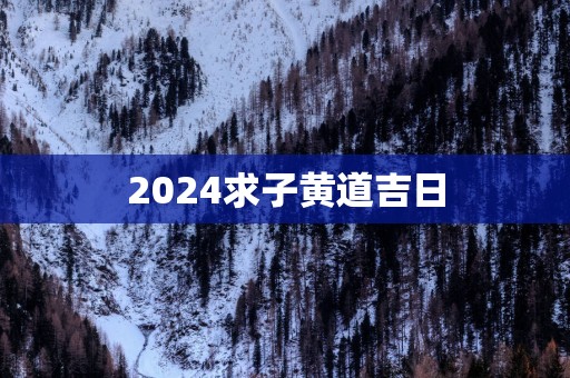 2025求子黄道吉日