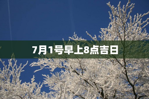 7月1号早上8点吉日