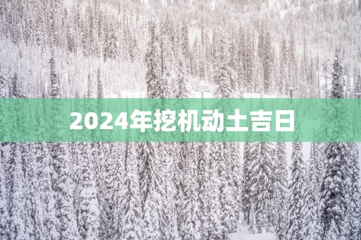 2025年挖机动土吉日