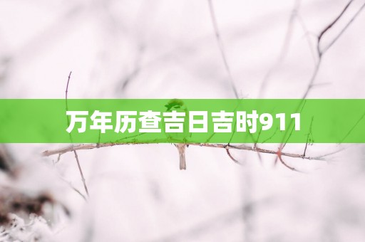 万年历查吉日吉时911