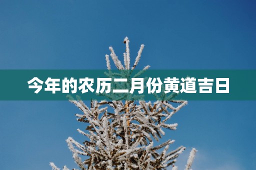 今年的农历二月份黄道吉日