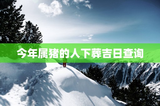 今年属猪的人下葬吉日查询