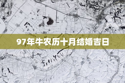 97年牛农历十月结婚吉日