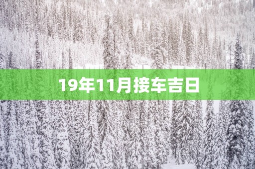 19年11月接车吉日