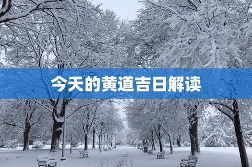 今天的黄道吉日解读