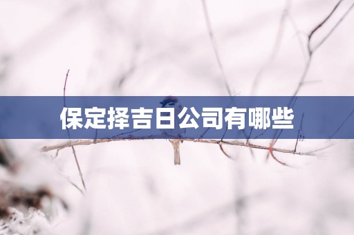 保定择吉日公司有哪些