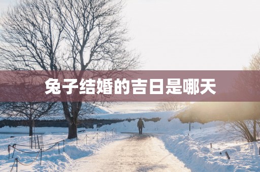 兔子结婚的吉日是哪天
