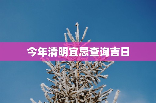 今年清明宜忌查询吉日