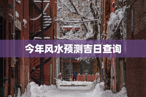 今年风水预测吉日查询