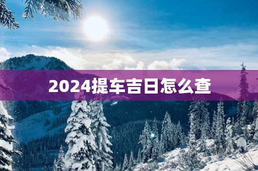 2025提车吉日怎么查