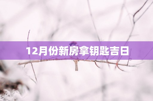 12月份新房拿钥匙吉日