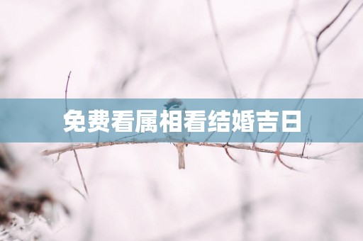 免费看属相看结婚吉日