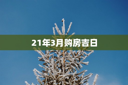 21年3月购房吉日