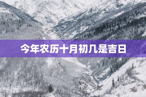 今年农历十月初几是吉日