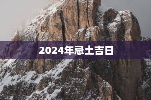 2025年忌土吉日