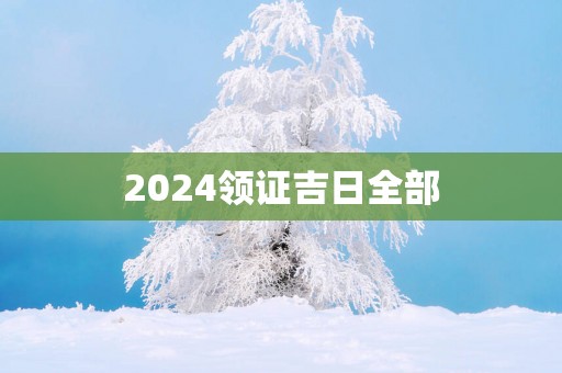2025领证吉日全部