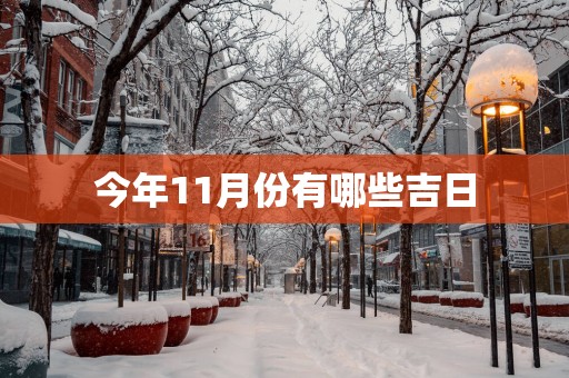 今年11月份有哪些吉日