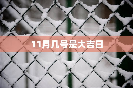 11月几号是大吉日