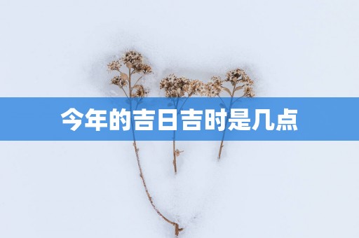 今年的吉日吉时是几点