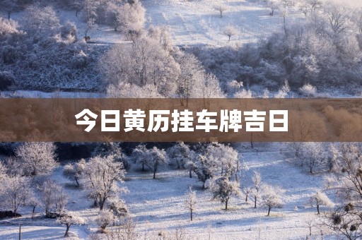 今日黄历挂车牌吉日
