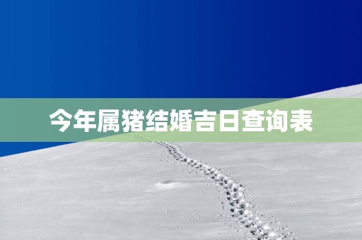 今年属猪结婚吉日查询表