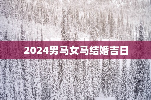 2025男马女马结婚吉日