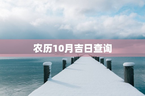 农历10月吉日查询