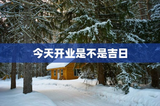 今天开业是不是吉日