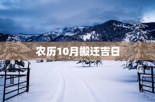 农历10月搬迁吉日
