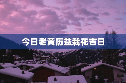今日老黄历益栽花吉日