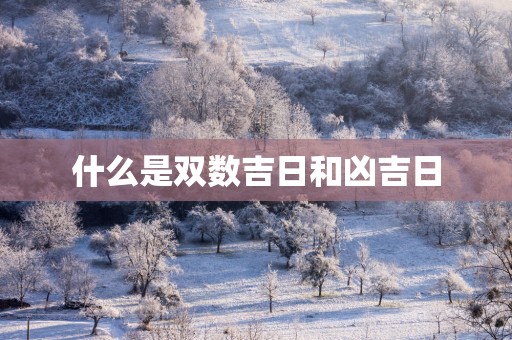 什么是双数吉日和凶吉日
