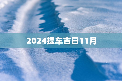 2025提车吉日11月