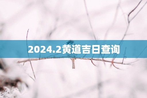2025.2黄道吉日查询