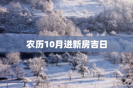 农历10月进新房吉日