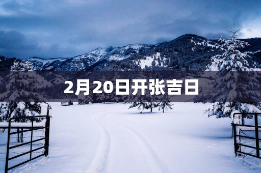 2月20日开张吉日