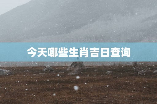 今天哪些生肖吉日查询