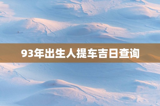 93年出生人提车吉日查询