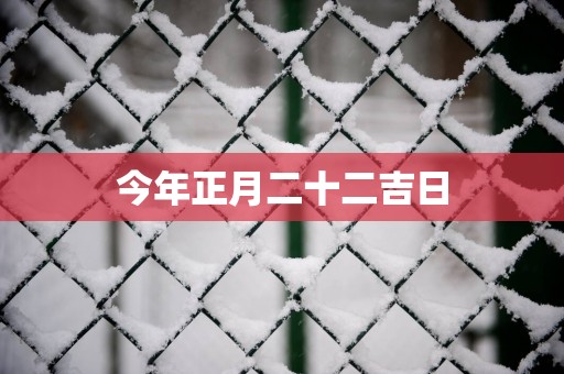 今年正月二十二吉日
