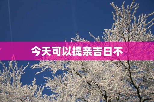今天可以提亲吉日不